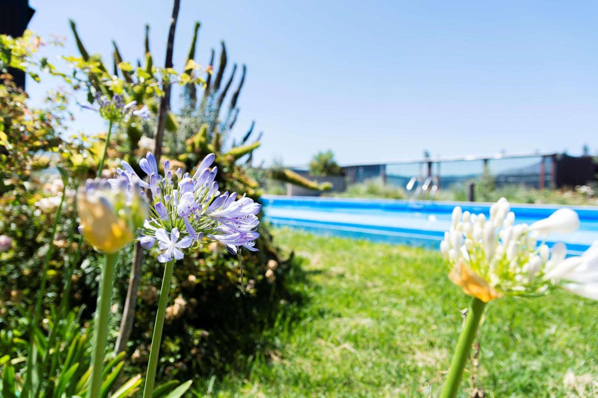Park Inn By Radisson Los Olivos De Vallenar Exteriér fotografie
